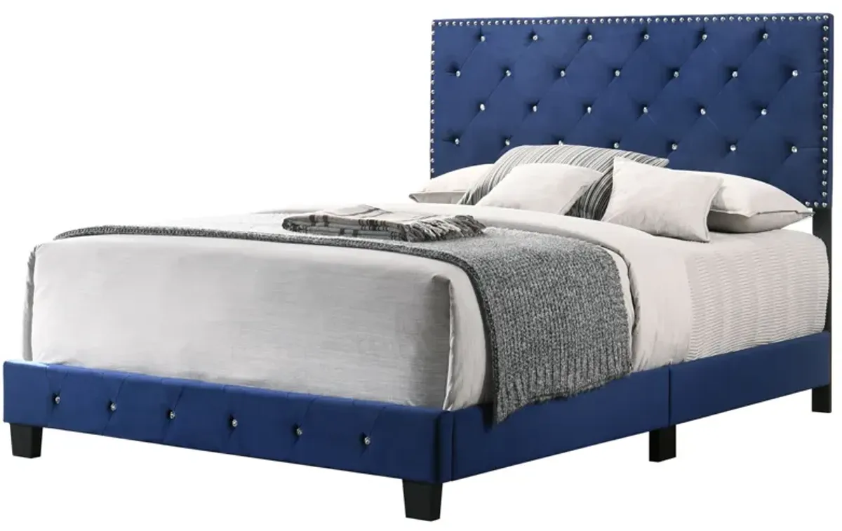 Suffolk - Queen Bed - Navy Blue