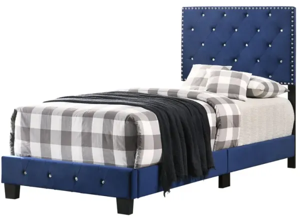 Suffolk - Twin Bed - Navy Blue