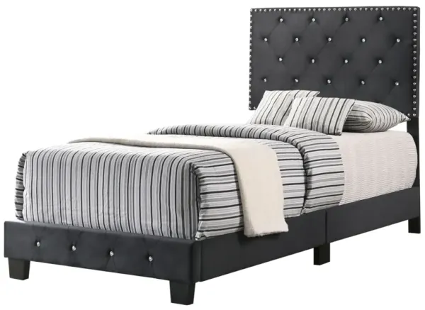 Suffolk - Twin Bed - Black