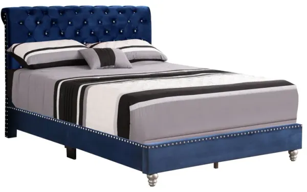 Button Tufted Upholstered Bed - Navy Blue