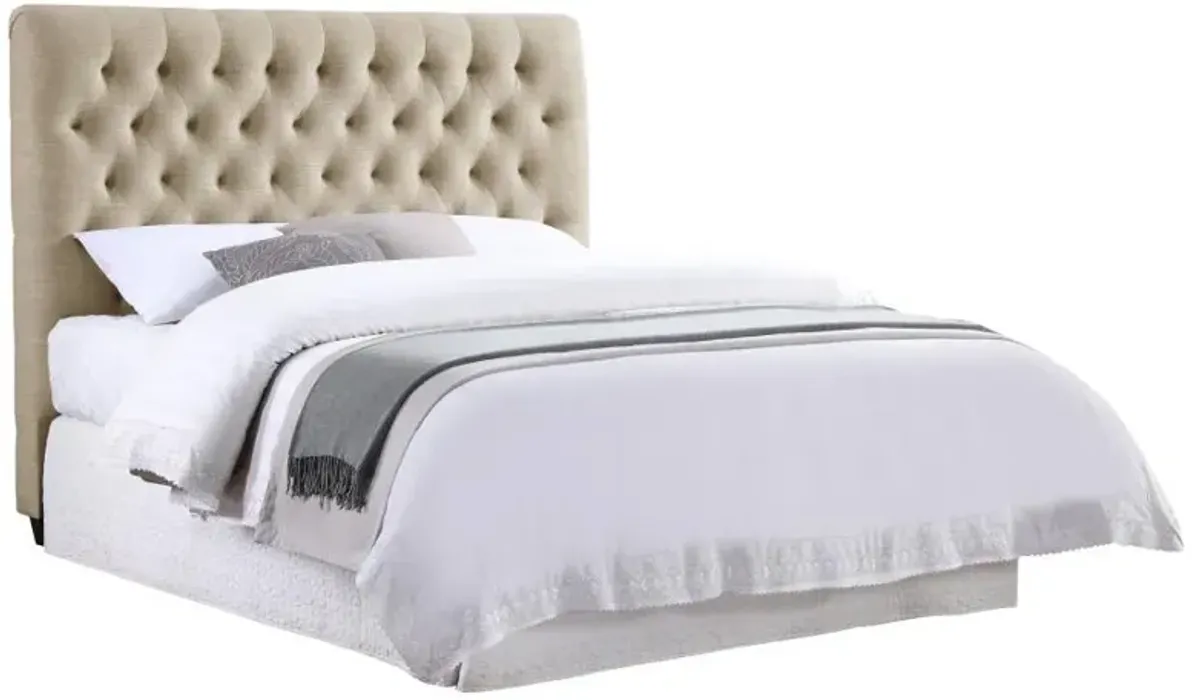 Chloe - Upholstered Panel Headboard