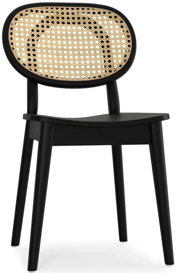 Rachel - Dining Chair (Set of 2)