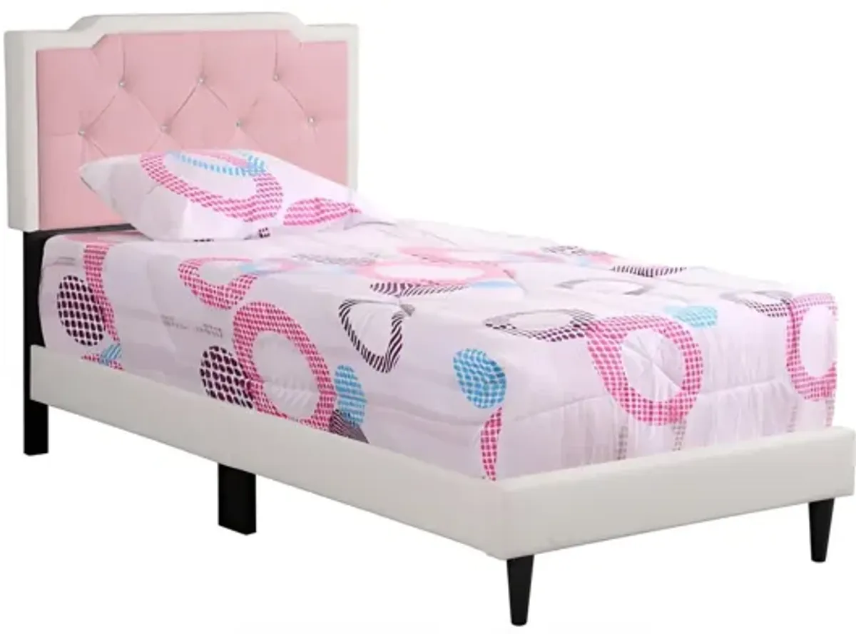 Bed (All in One Box) - Two Tone
