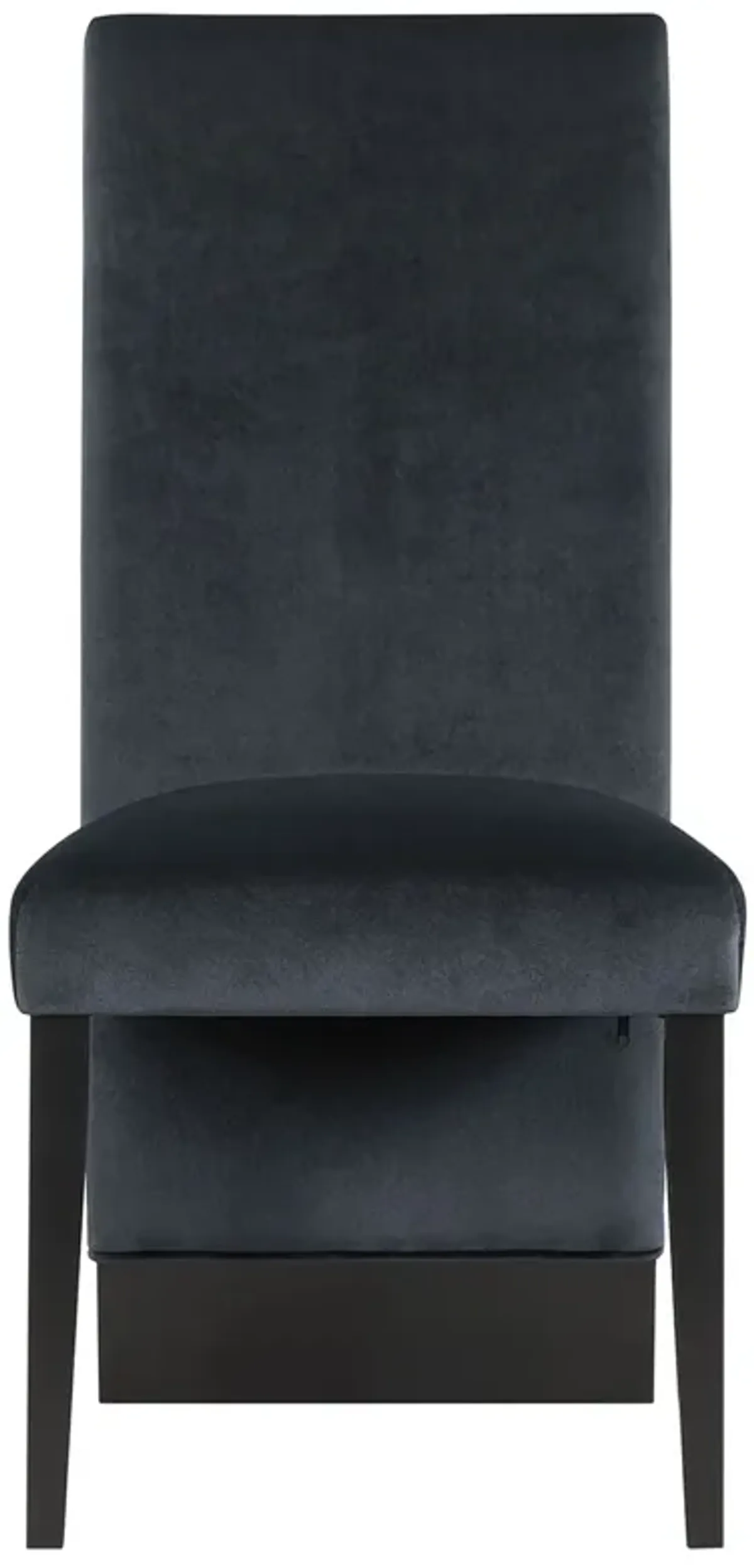 Stacey - Contemporary Dining Chair (Set of 2)