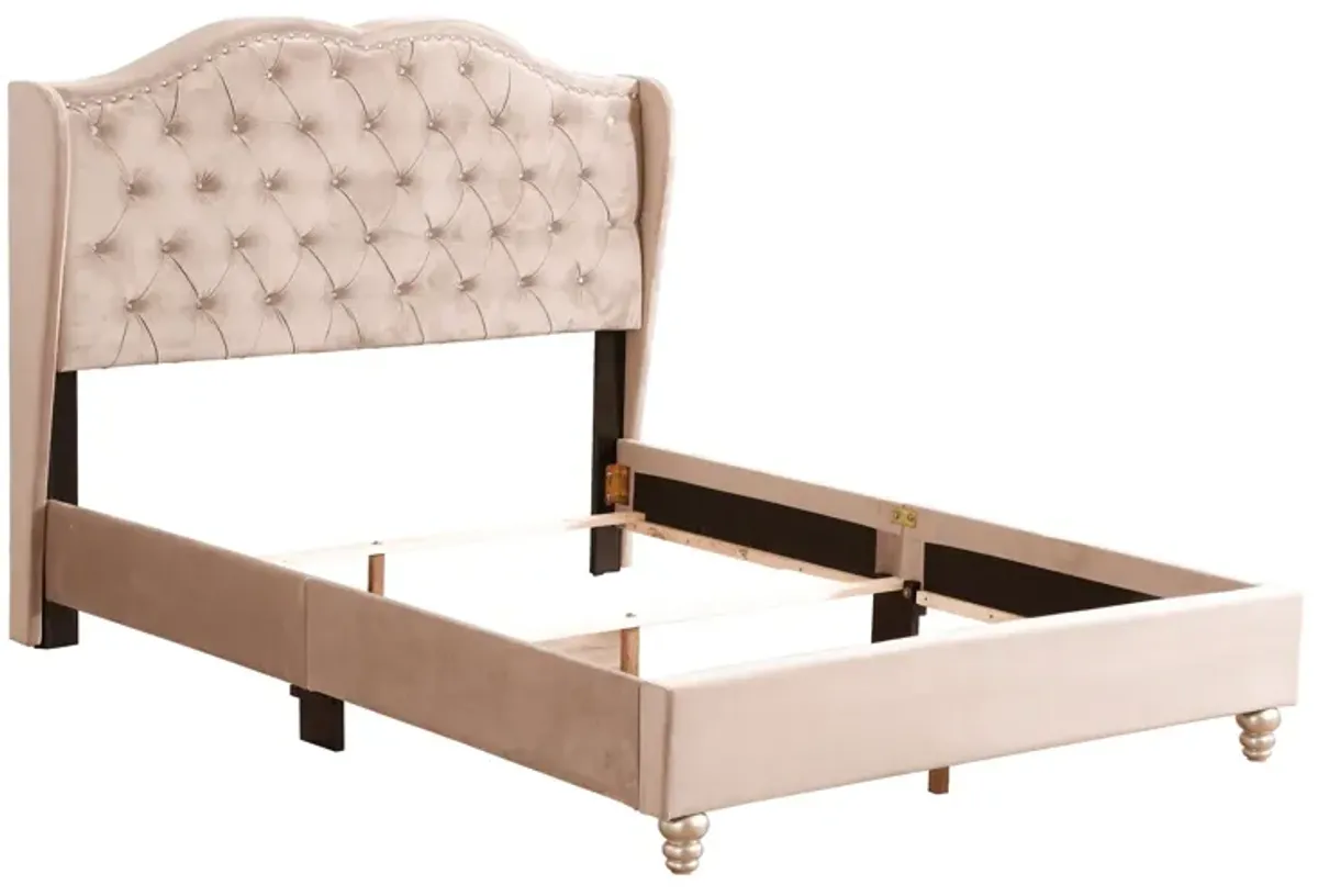 Upholstered Velvet Bed Transitional