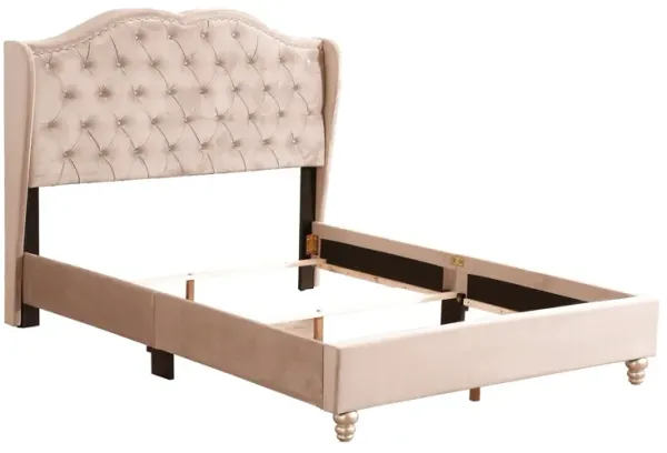 Upholstered Velvet Bed Transitional
