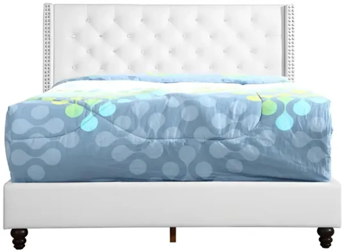 Upholstered Nailhead Trim Chic Bed