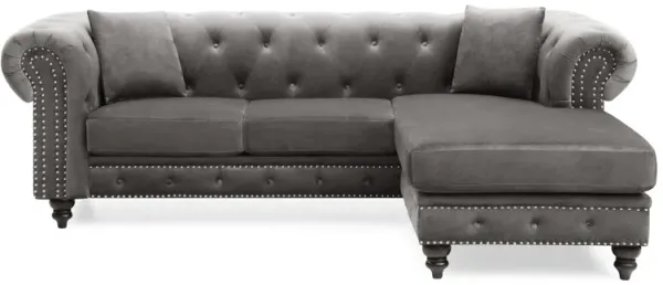 Nola - Luxurious Design Sofa Chaise