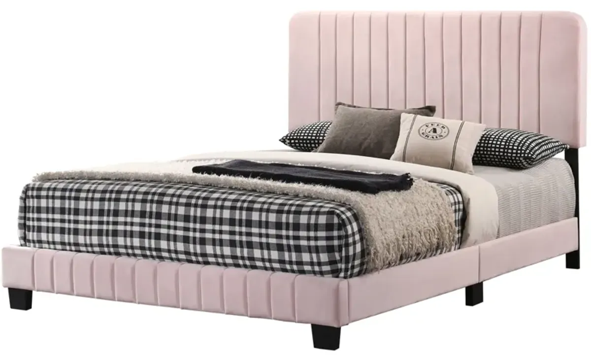 Lodi - Bed