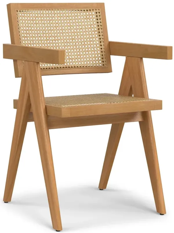 Regina - Handcrafted Dining Armchair (Set of 2)