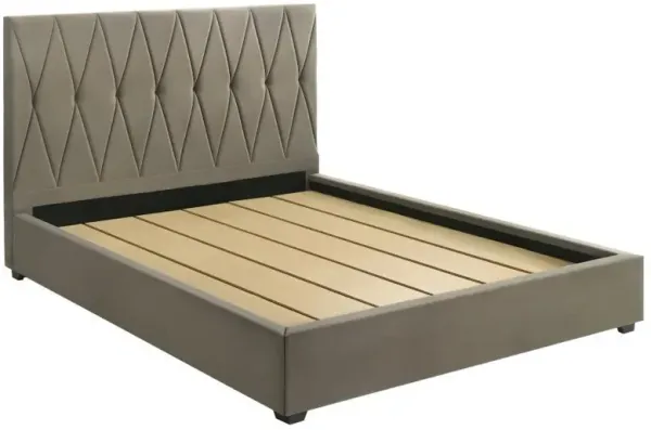 Delsea - Upholstered Platform Bed