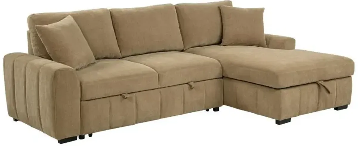 Pastrana - Upholstered Sleeper Sectional Sofa