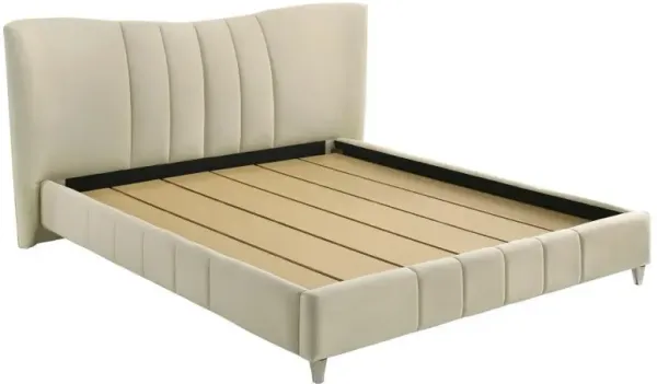 Evelyn - Upholstered Panel Platform Bed
