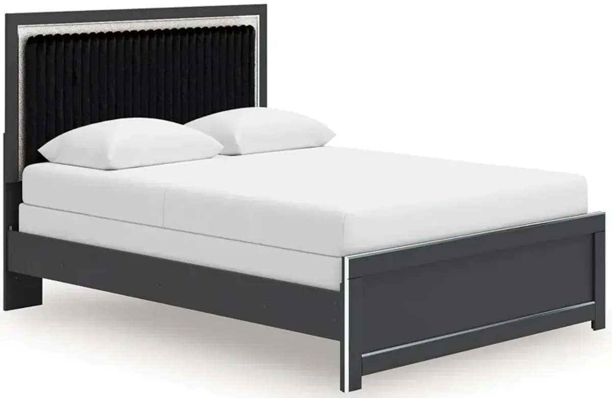 Zuraleus - Upholstered Panel Bed