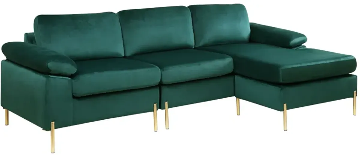 Shannon - Velvet Sectional Sofa With Chaise