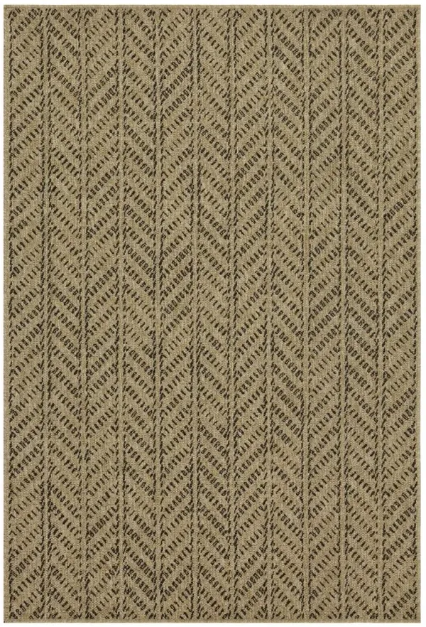 Earth - Indoor / Outdoor Area Rug