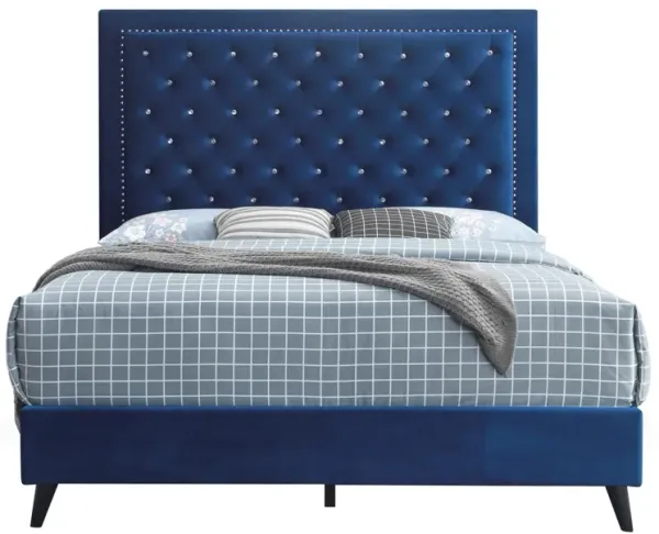 Alba - Classic Design Bed Elegant Glamour