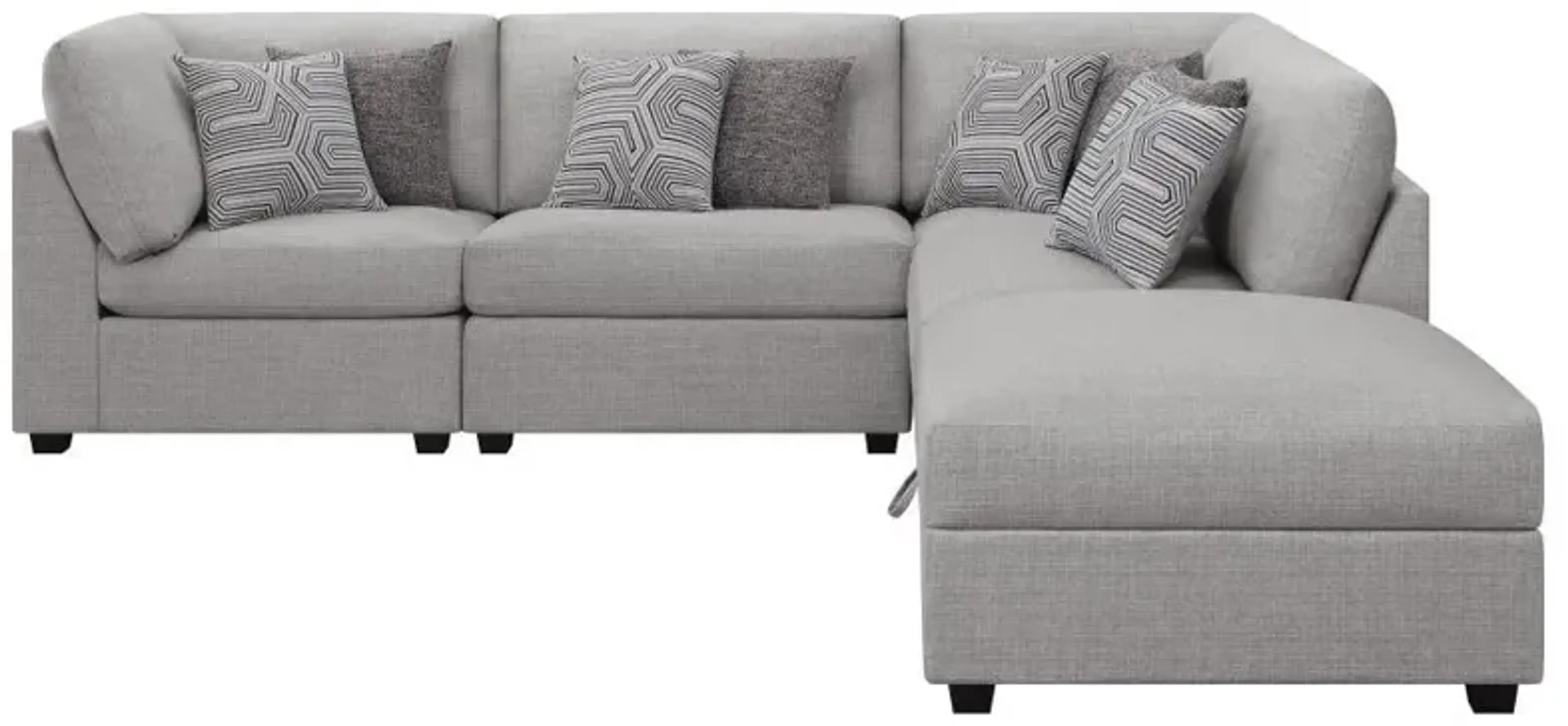 Product image 101