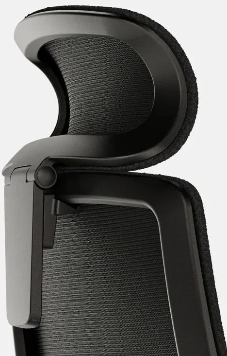 Ergonomic Pro Headrest