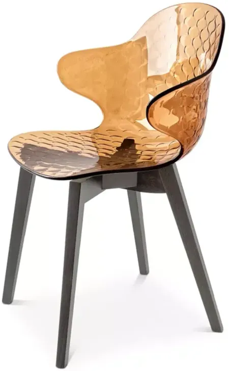 Calligaris St. Tropez Graphite Chair
