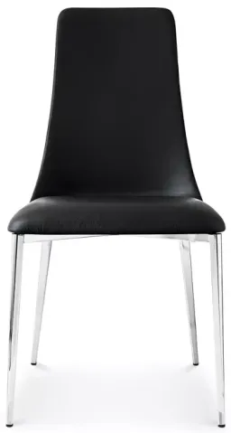 black/chrome color