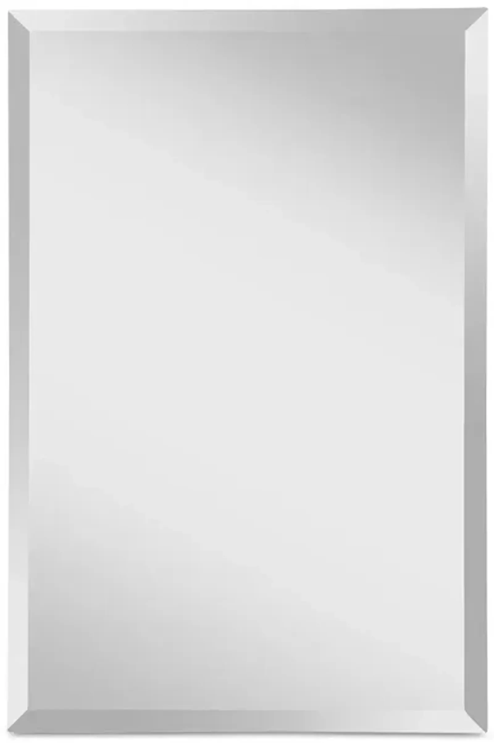 Sparrow & Wren Infinity 36" Rectangle Mirror