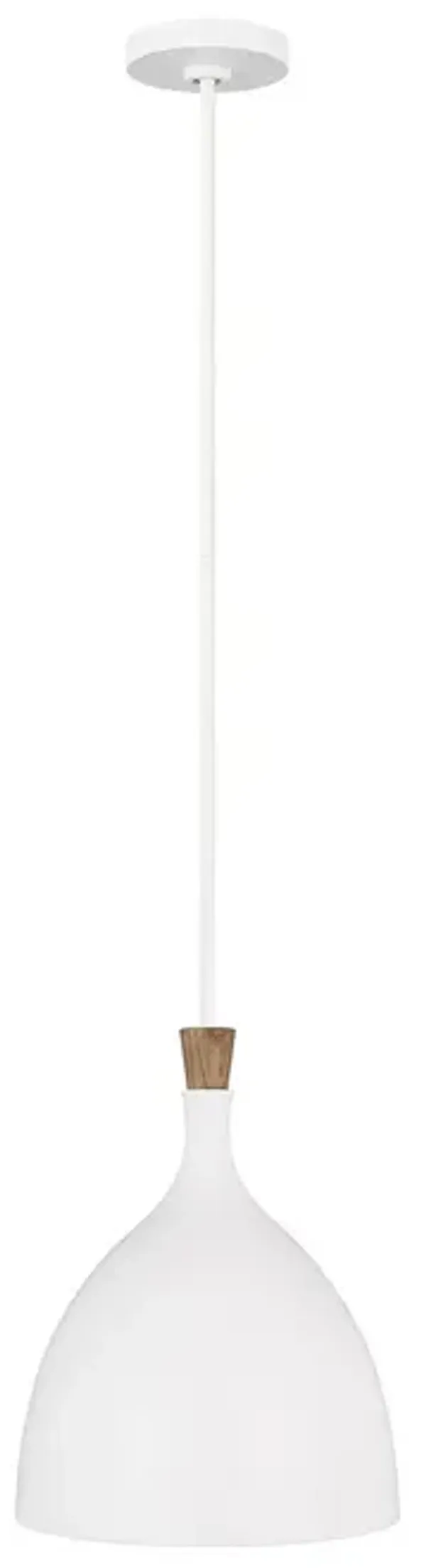 ED Ellen Degeneres Darwin Medium Pendant