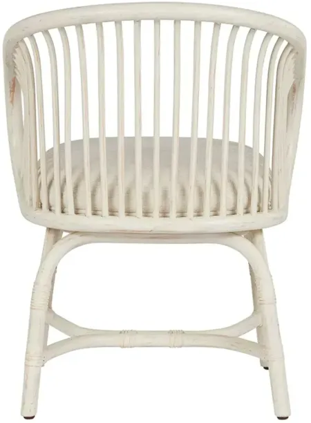 Bloomingdale's Arubua Chair