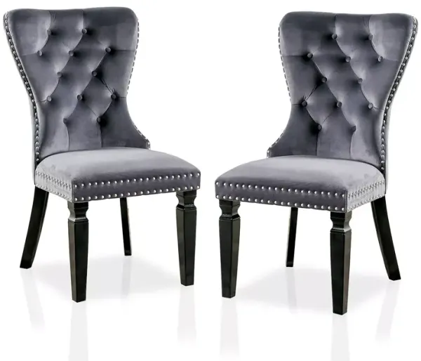 Sparrow & Wren Groda Side Chair, Set of 2