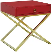 FURNITURE OF AMERICA Chester 1 Drawer End Table