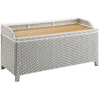 FURNITURE OF AMERICA Tomkins Outdoor Storage Bench