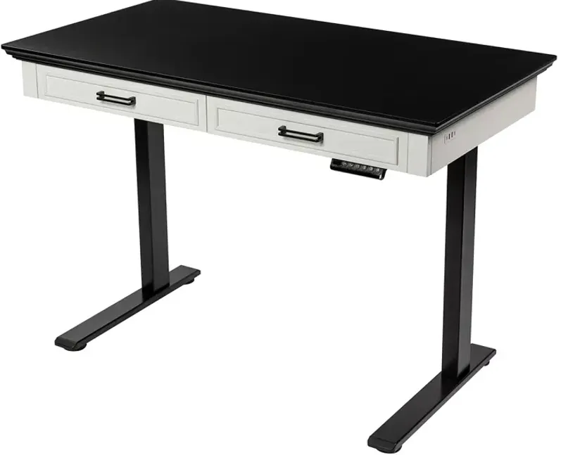 FURNITURE OF AMERICA Dix Black Adjustable Standing Desk with USB