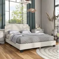 Furniture of America Tira Boucle Queen Bed