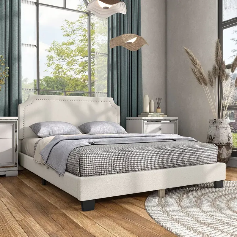 Furniture of America Tira Boucle Queen Bed