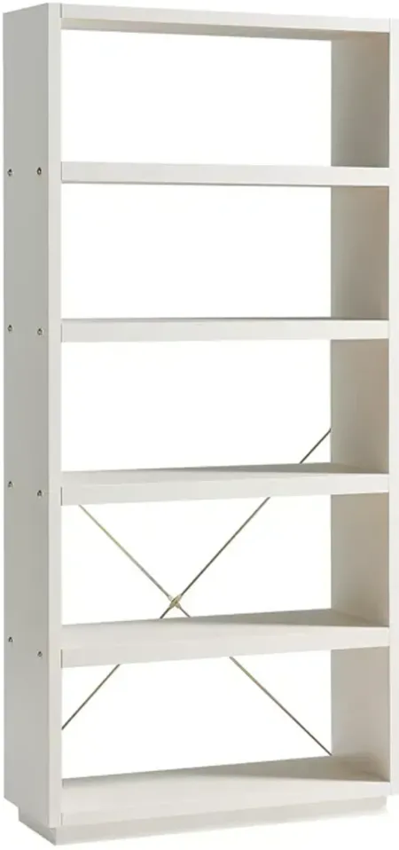 Furniture of America Stella Display Shelf