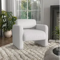 Furniture of America Raya Accent Chair