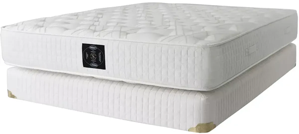 Shifman Classic Radiance Firm Queen Mattress Only - Exclusive