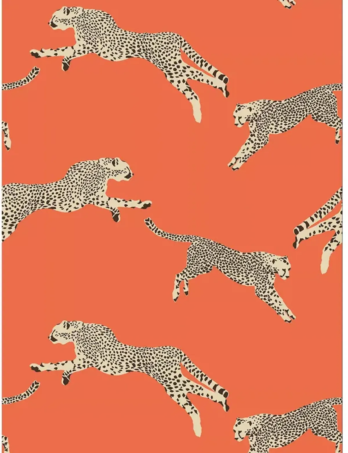 Scalamandre Leaping Cheetah Wallcovering