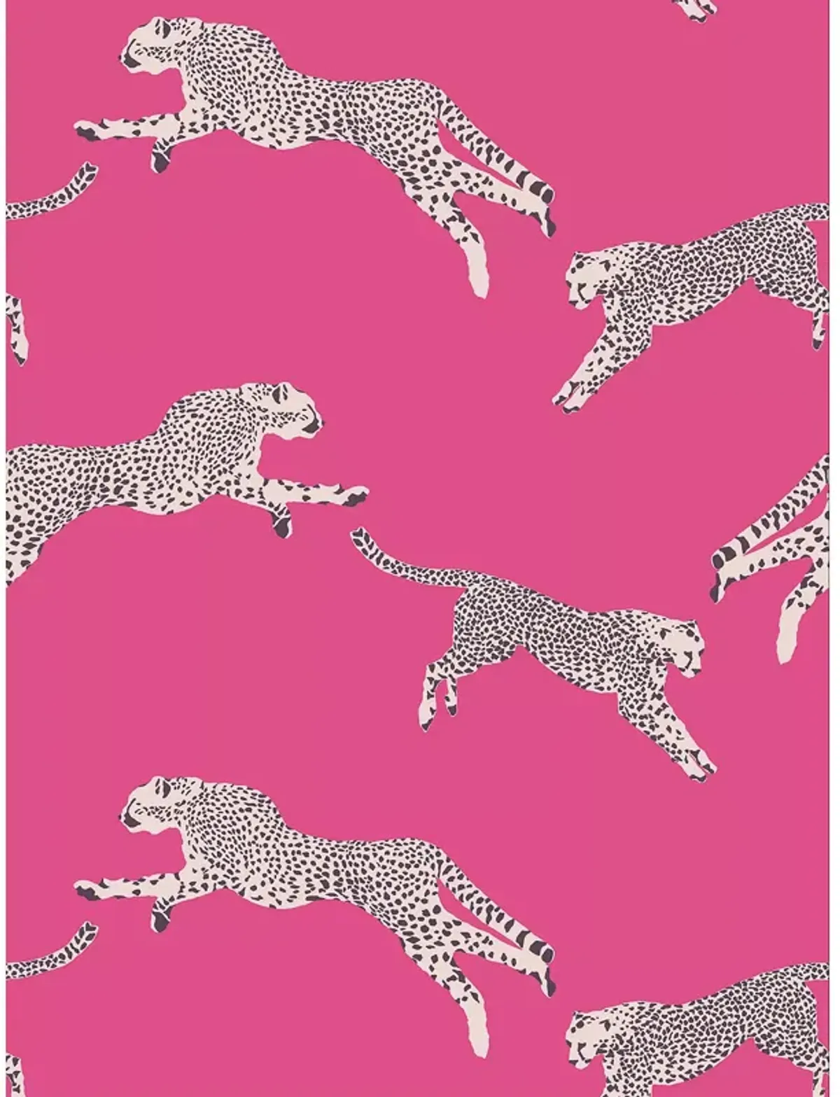 Scalamandre Leaping Cheetah Wallcovering