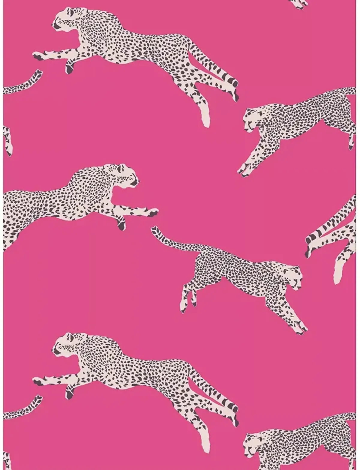 Scalamandre Leaping Cheetah Wallcovering