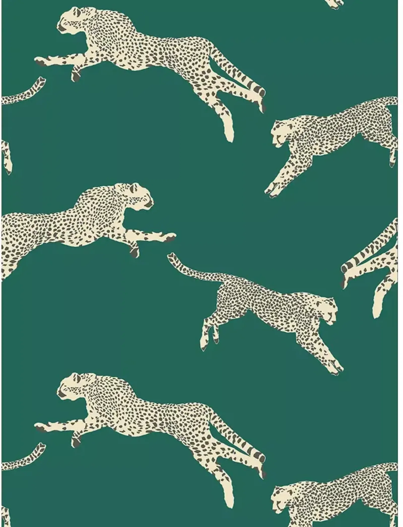 Scalamandre Leaping Cheetah Wallcovering