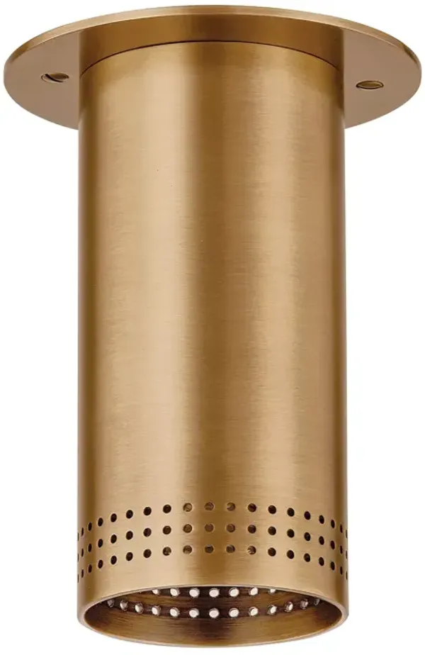 Hudson Valley Lighting Berg One Light Flush Mount