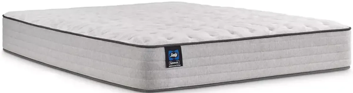 Sealy Posturepedic Halliday II Medium Twin Mattress & Box Spring Set