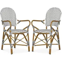 SAFAVIEH Hooper Indoor-Outdoor Stacking Arm Chair, Set of Two