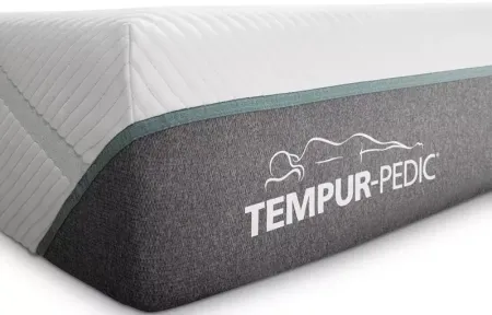 Tempur-Pedic TEMPUR-Adapt Medium Hybrid Twin XL Mattress Only