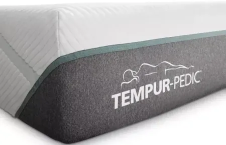 Tempur-Pedic TEMPUR-Adapt Medium Hybrid Queen Mattress Only