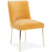 SAFAVIEH Couture Nolita Velvet Accent Chair