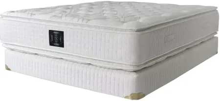Shifman Classic Magnificence Firm Pillow Top Queen Mattress Only - 100% Exclusive