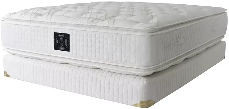 Shifman Classic Magnificence Plush Pillow Top Twin XL Mattress Only - 100% Exclusive