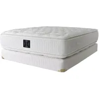 Classic Magnificence Plush Pillow Top Twin Mattress & Box Spring Set â 100% Exclusive